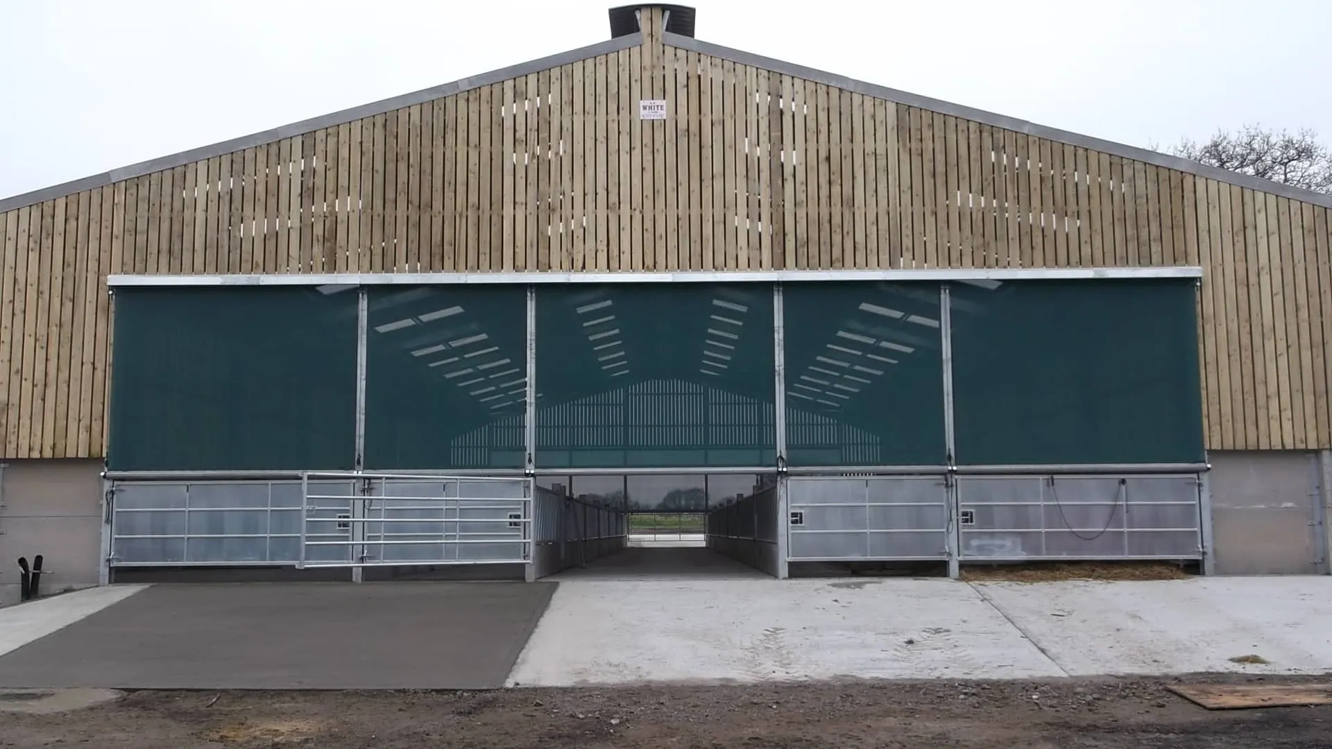 Livestock building interior fitted with green feed barriers and galvanised penning